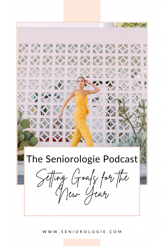 Setting Goals for the New Year: Part 2 of Your Best Year Yet series on the Seniorologie podcast for small business owners at the end of the year